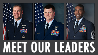 Wing Leaders Graphic
